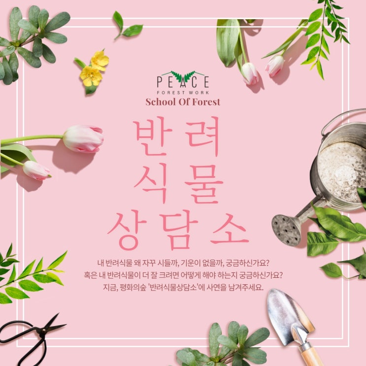  평화의숲 스쿨오브포레트스 I<반려식물 상담소>오픈!(~6/25)