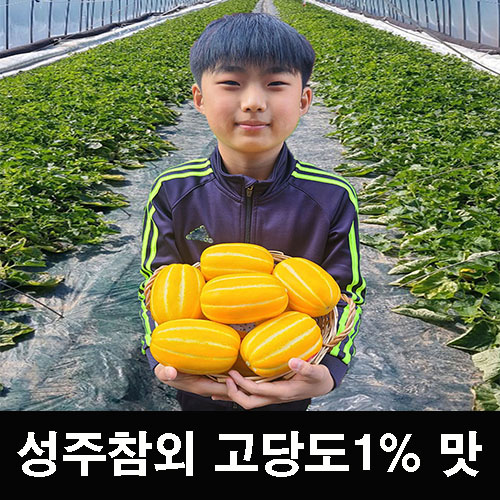 핵가성비 좋은 성주참외 못난이 가정용 꿀참외 용암 5kg 10kg 고당도 꿀벌 꼬마 중과 소과 성주참외용암농협 한입 선물용 명품 정품 실속형 한박스 경북 오복 껍질째먹는 벌꿀, 참