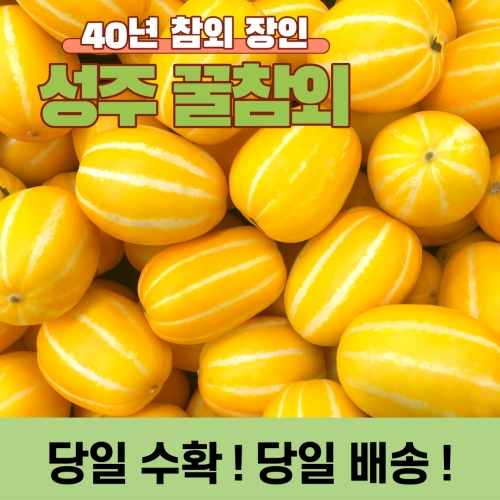 인기 급상승인 산지직송 성주 참외 꿀참외 2kg 3kg 5kg 10kg, 중과 추천합니다