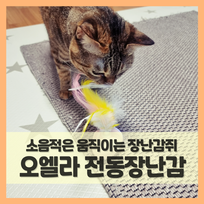  고양이장난감 자동 움직이는 쥐다! (f. 오엘라)