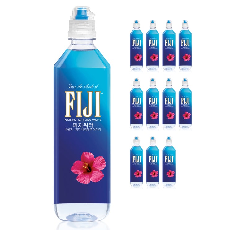 인기있는 피지워터, 12개, 700ml 추천해요 인기있는 피지워터, 12개, 700ml 추천해요