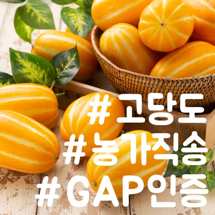 잘팔리는 3대째 GAP 농가직송 (당일새벽수확) 성주 꿀 참외 큰크기 여름 제철 과일, 성주 참외 2kg (중대과) 좋아요