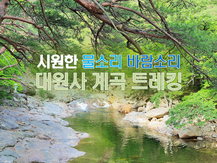  산청 지리산 대원사 계곡 트레킹 유평마을코스