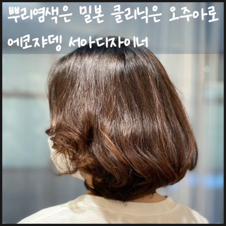  뿌리염색은 밀본 클리닉은 오주아로 공덕미용실 추천 ( feat.에코쟈뎅 서아디자이너)