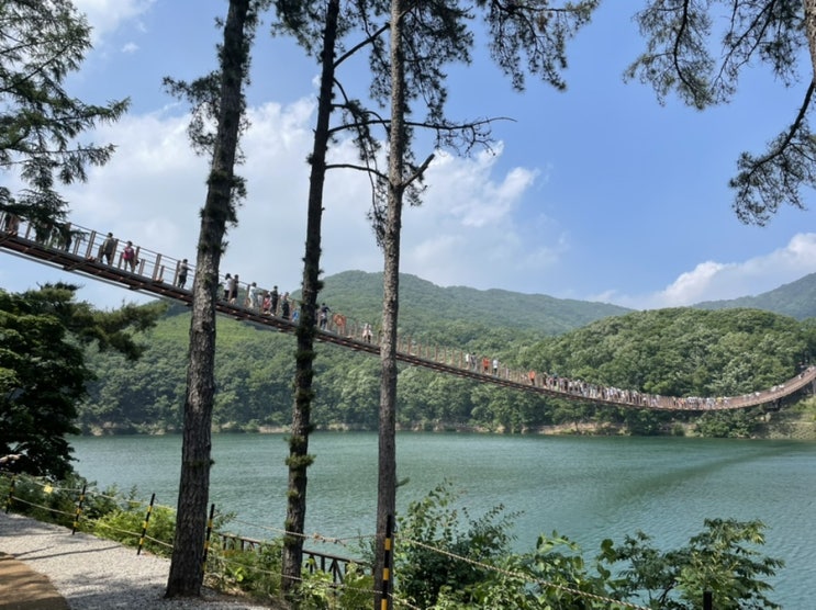  파주 마장호수 출렁다리에서 흔들흔들 짜릿한 경험하기