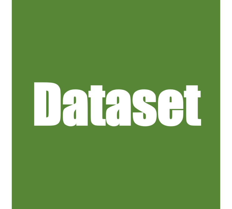  Dataset 구조