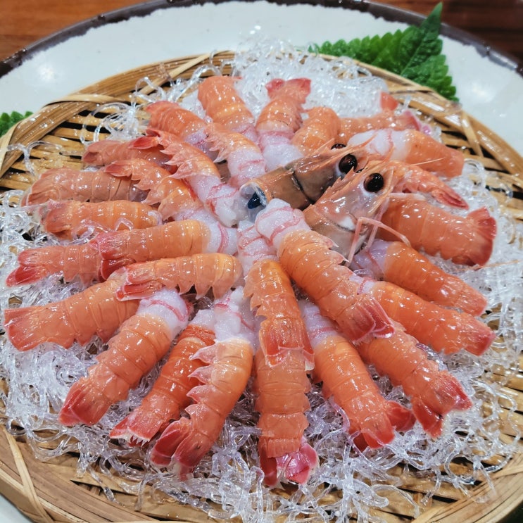  서귀포 백록식당 월카페 제주도 섭지코지 딱새우 전복해물라면 제주도맛집추천