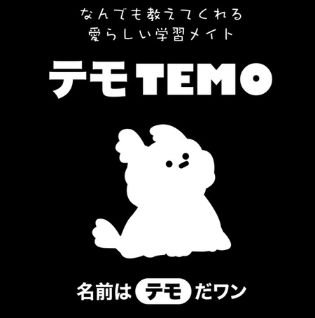 패스트캠퍼스의 해외사업 "TEMO 테모" 란 무엇인가?