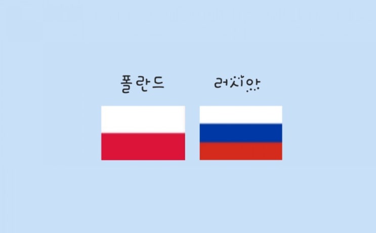  발리볼 네이션스리그 남자배구, '4대 빅리그' 폴란드 VS 러시아 격돌!! 과연 승리는 누가??(예선전 2주차 경기결과)