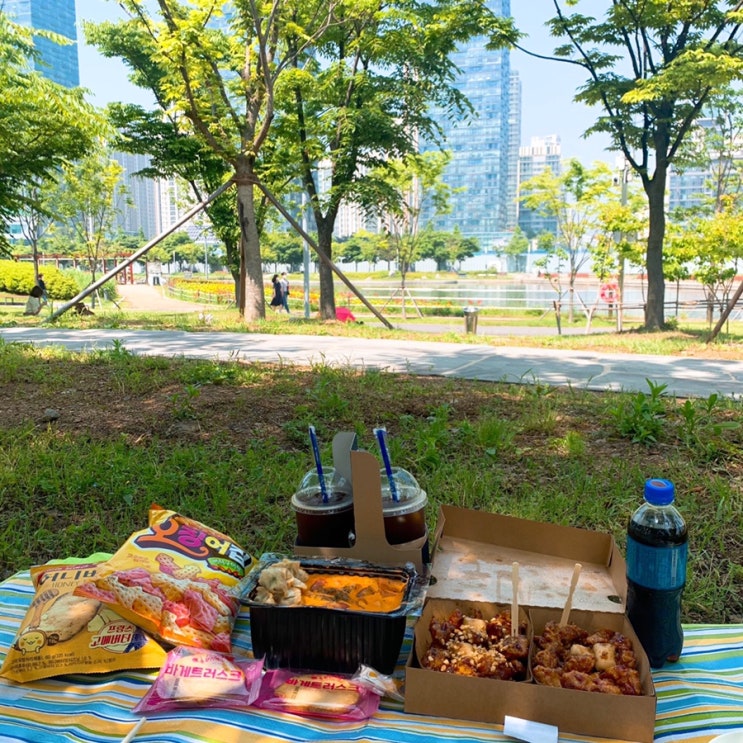  송도 센트럴 파크에서 피크닉 (피크닉장소, 배달음식, 돗자리대여 꿀팁)
