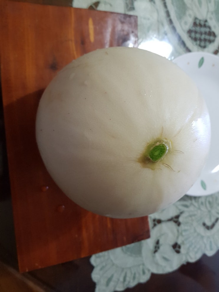 한번 맛보면 이제 다른 메론은 못 먹을걸? 천안수신메론 <주홍농장> 한번 맛보면 이제 다른 메론은 못 먹을걸? 천안수신메론 <주홍농장>