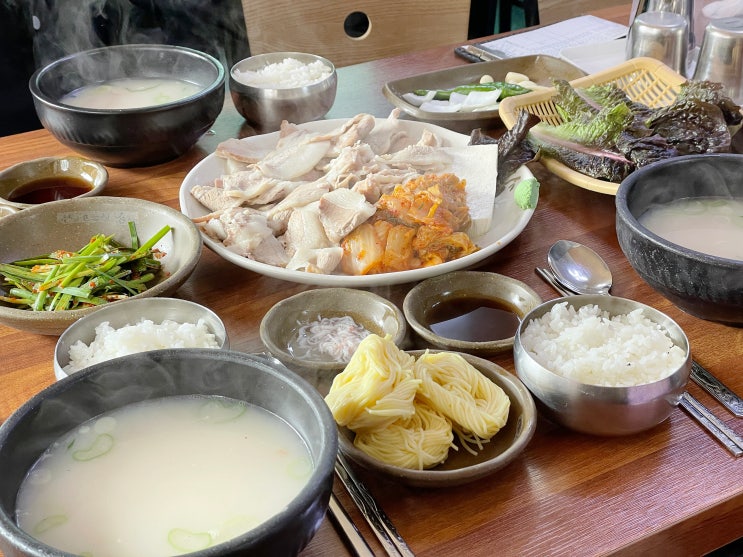 3월 부산여행 김포공항 · 김해국제공항 · 영진돼지국밥 코스 