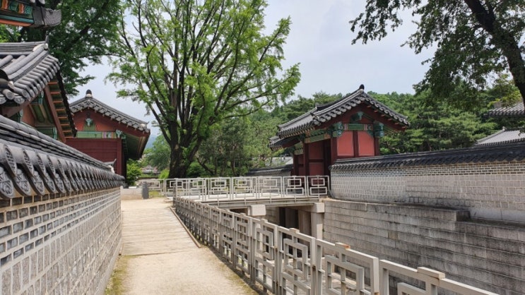 서울 6월에 가볼만한 곳 창덕궁, 창경궁 나들이