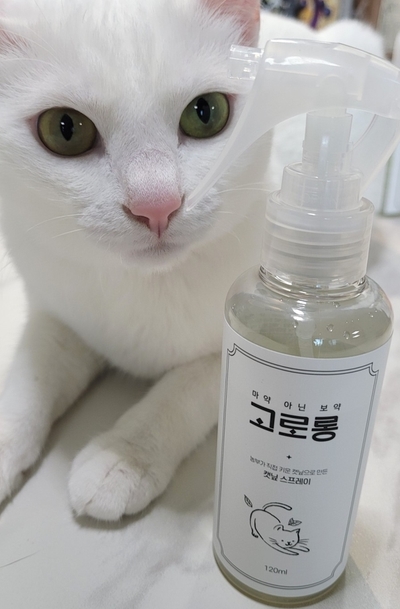 고로롱 캣닢 스프레이- 캣닢의 효과 스프레이로 고양이 스트레스해소해주기