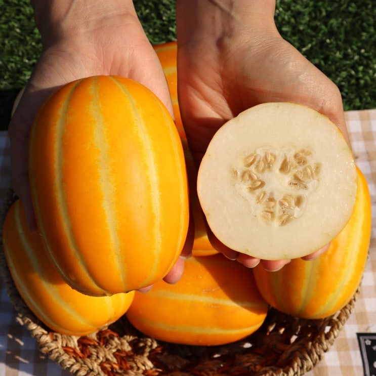 당신만 모르는 성주 산지직송 햇참외 열골 꿀참외 참외 3kg 5kg 로얄과, 성주 산지직송 햇참외 3kg 8-12과 추천해요 당신만 모르는 성주 산지직송 햇참외 열골 꿀참외 참외 3kg 5kg 로얄과, 성주 산지직송 햇참외 3kg 8-12과 추천해요