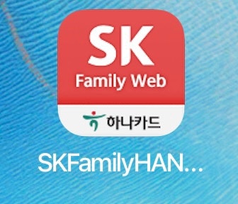 하나SK패밀리카드 (해외호텔 2박시 1박무료, 항공권1+1, 도미노피자 50%할인) / SK Family Card / SK임....