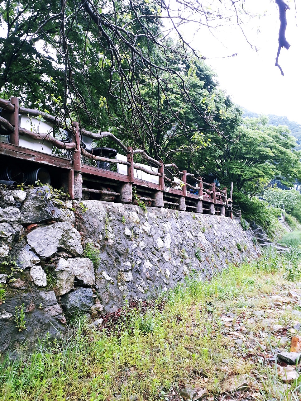 심청원 사진 2