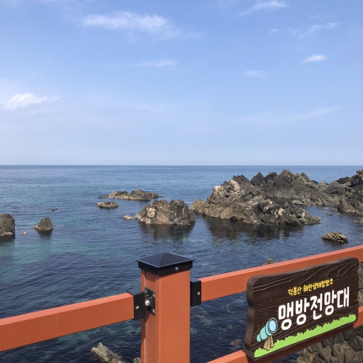  [무작정 떠나기] 혼자 급 삼척으로 떠나서 바다 보고 오기