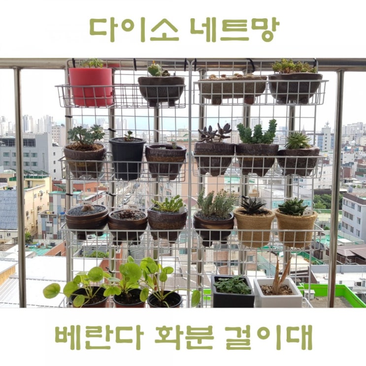  다이소 네트망, 베란다 걸이대 다육이 화분 선반 만들기
