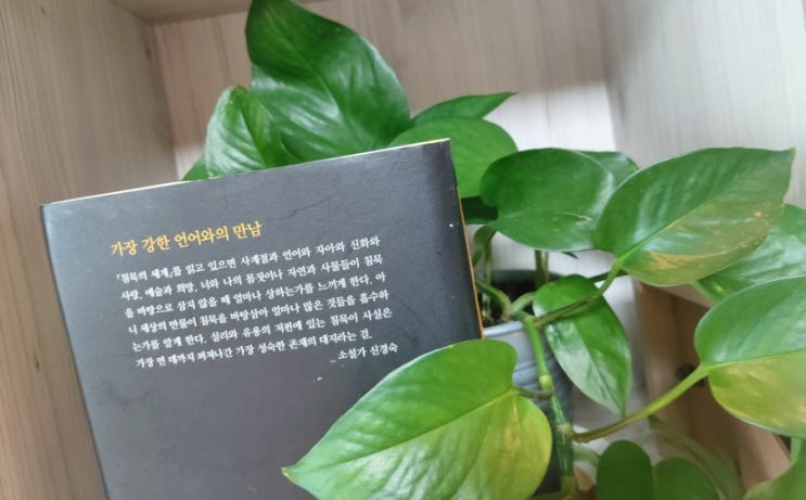 인간의 얼굴과 침묵 침묵의세계 막스 피카르트 인간의 얼굴과 침묵 침묵의세계 막스 피카르트