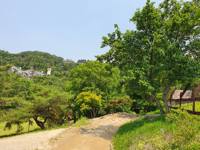 Green Green