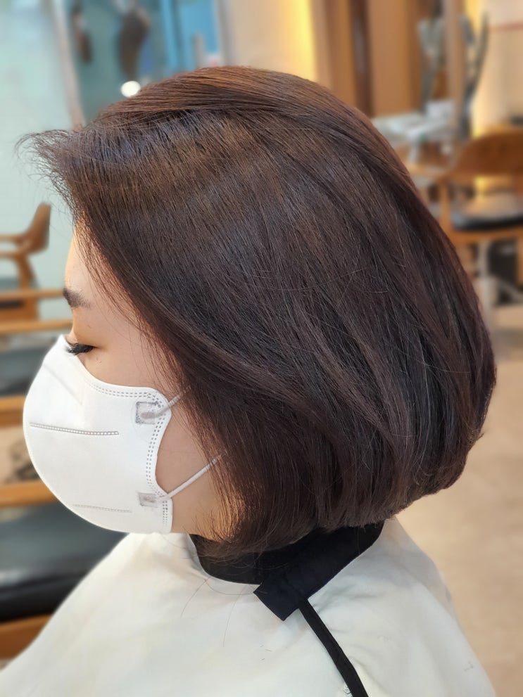  [노원미용실]비건과 시세이도가 만나면 어떤결과가?