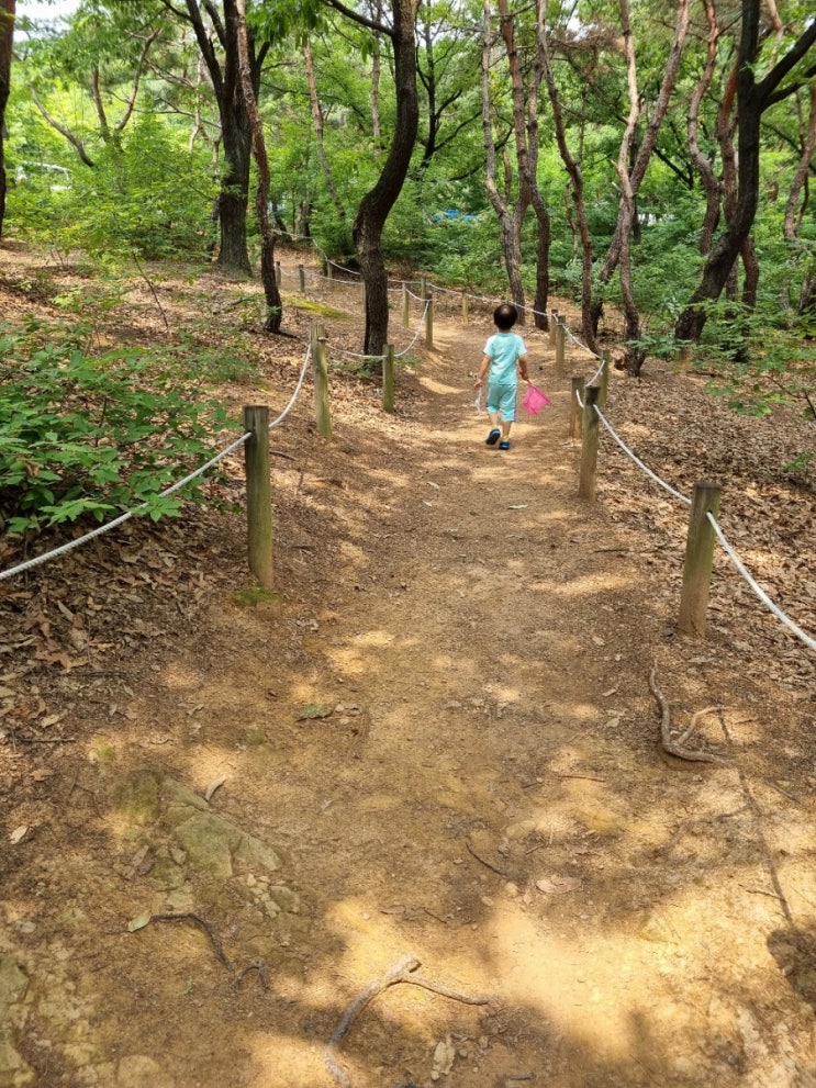 아이와 가볼만한 곳 '연암공원 유아숲체험원'에 다녀왔어요!