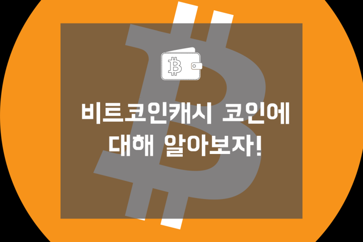 비트코인캐시 코인에 대해서 알아보자. 호재 및 전망