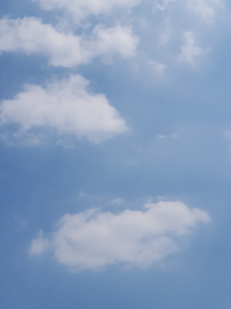심심해서 작성하는 포스팅,별 내용 없음 주의! 심심해서 작성하는 포스팅,별 내용 없음 주의!