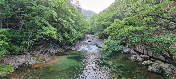 덕유산은 곤도라로... 덕유산은 곤도라로...