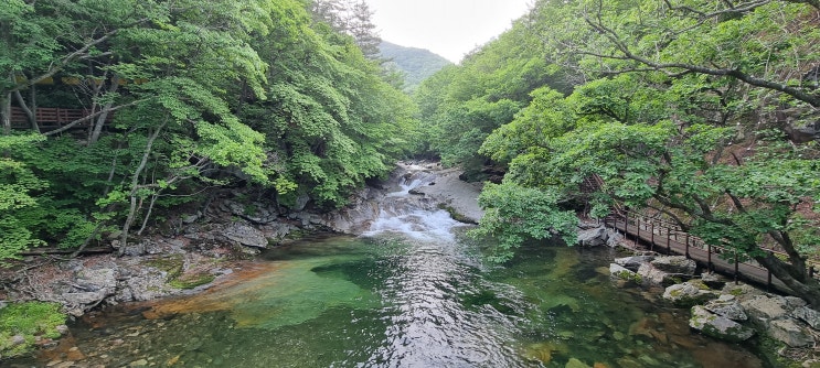 덕유산은 곤도라로...