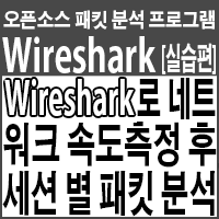  네트워크 속도 측정 후, Wireshark로 직접 세션 별 패킷 분석하기