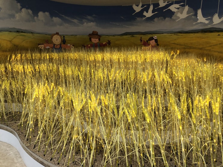  철원 DMZ 관광 , 아이들에게 보여주는 배움의 공간