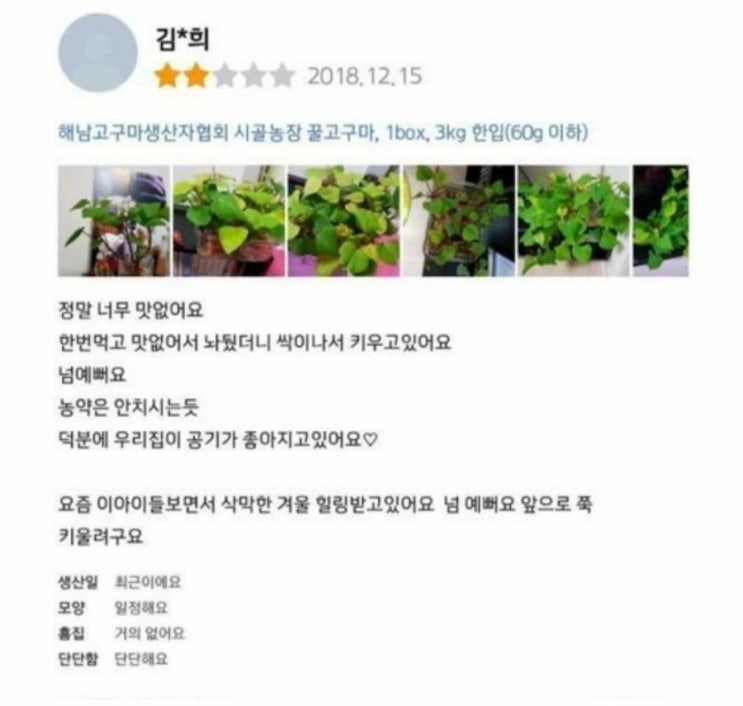  인생 대충 긍정적으로 살자 이 사람들 처럼...