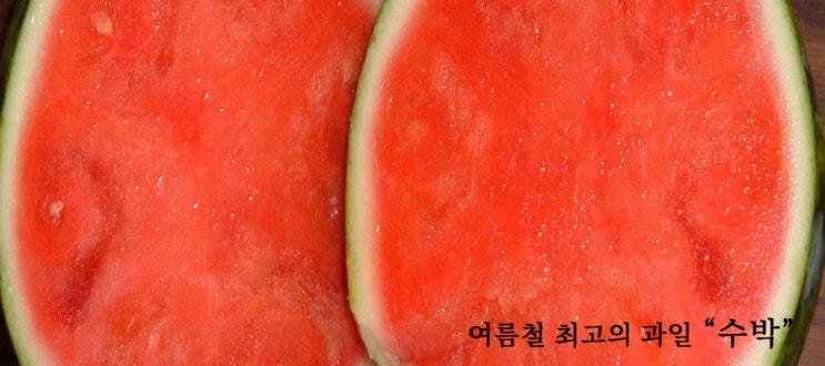  시원한 수박.영양과 효능