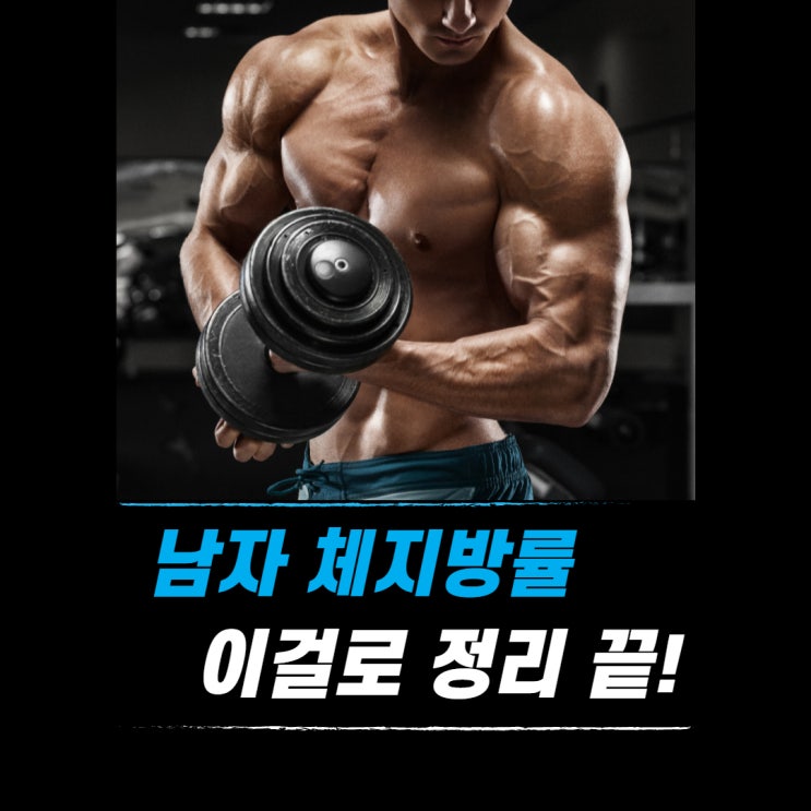  남자 체지방률 이걸로 정리 끝