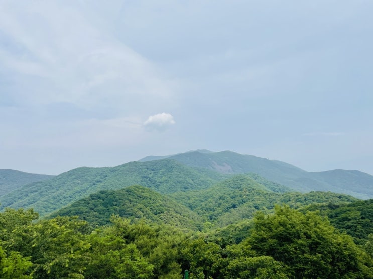  광주 지산 유원지 리프트, 모노레일 타고 무등산 경치 감상해요 | 광주 가볼만한 곳 | 초여름의 광주여행 #2