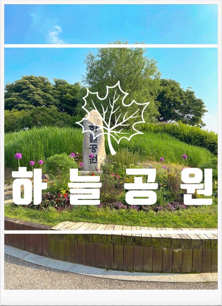서울 근교 갈만한곳 상암 하늘공원 다녀왔어요!