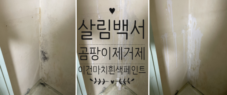  [살림백서 곰팡이제거제]눈이 침침하지만 곰팡이 제거는 잘된다. 흰색페인트대신 사용해도 될 듯.
