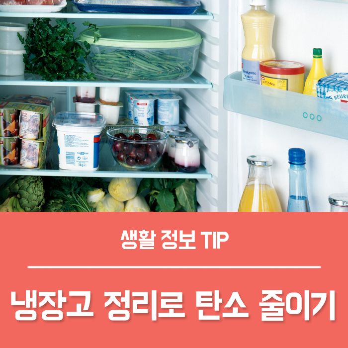  탄소 발자국 줄이기 : 냉장고 정리 방법