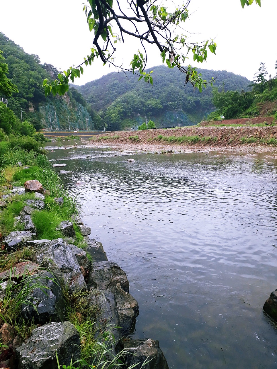 심청원 사진