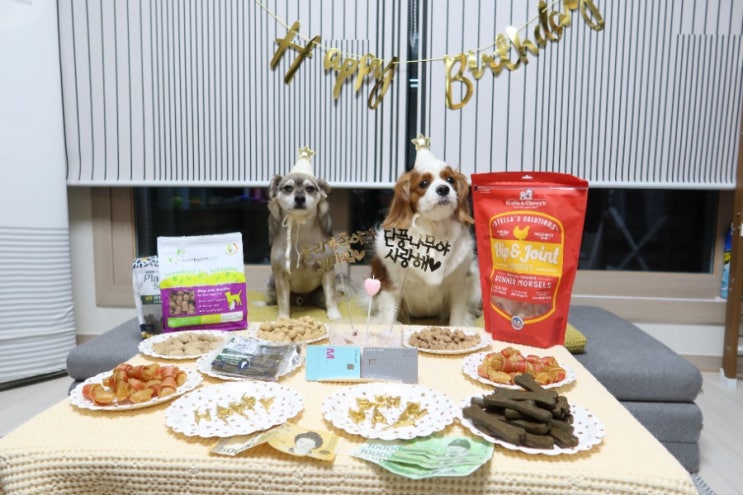  21년 6월 5일 6살 살아가는 강나무 생일