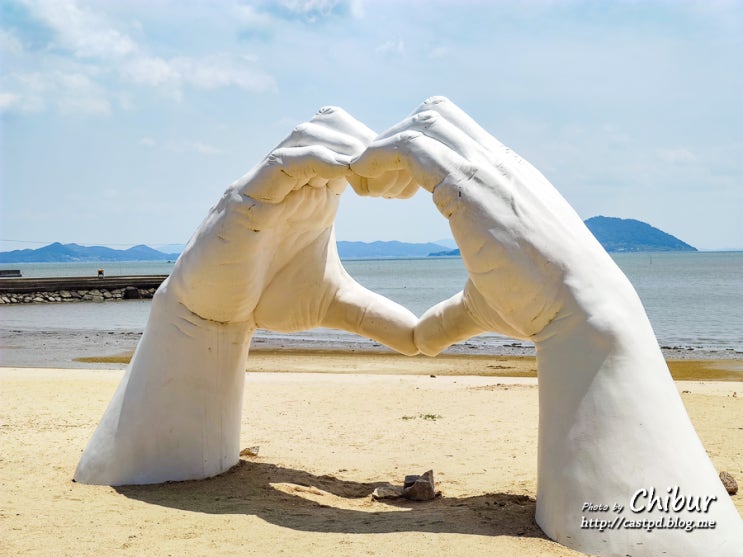  전남 가볼만한곳 보성 율포 솔밭 해수욕장