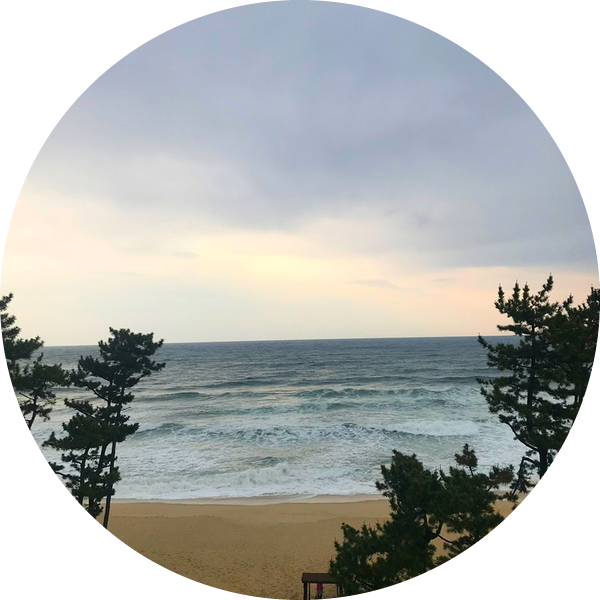  [2박3일 강원도 속초 강릉 여행] 오션뷰숙소 호텔큐브 /속초 청초수물회 / 대관령 아기동물농장 / 인제 용대리 맛집 진부령식당