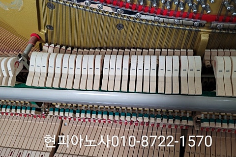 현피아노사 이미지
