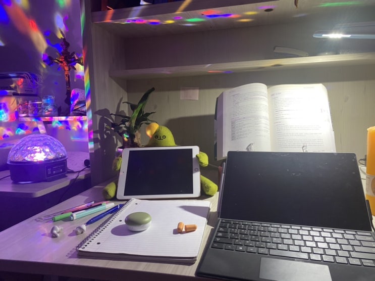  유튜브를 해볼까낭 :공부하는 호두 study with me