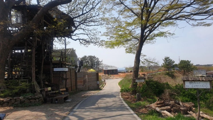  [2021.04.10] 김제 미즈씨네 트리하우스 이색 카페 방문기