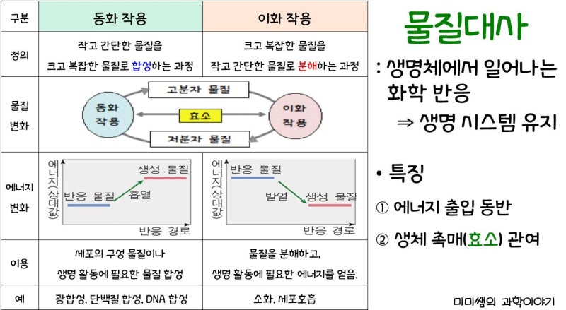 [수업계획] 생명 시스템에서의 화학 반응 - 효소, 활성화 에너지, 효소의 이용 등 : 네이버 블로그