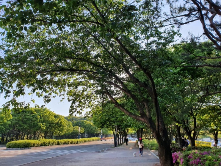  당신의 인생은 항상 좋았습니다.