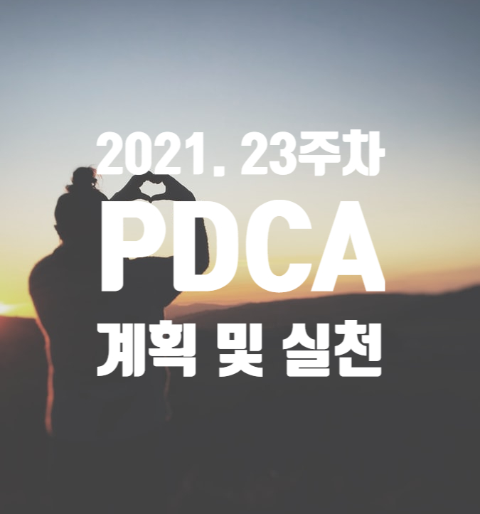  2021년 계획과 실천 23주차 점검 [작은 성공의 경험을 누적시키자]